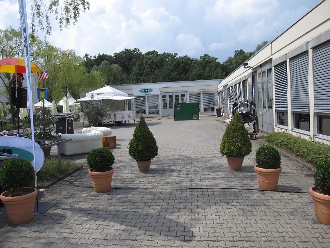 Buchsbäume